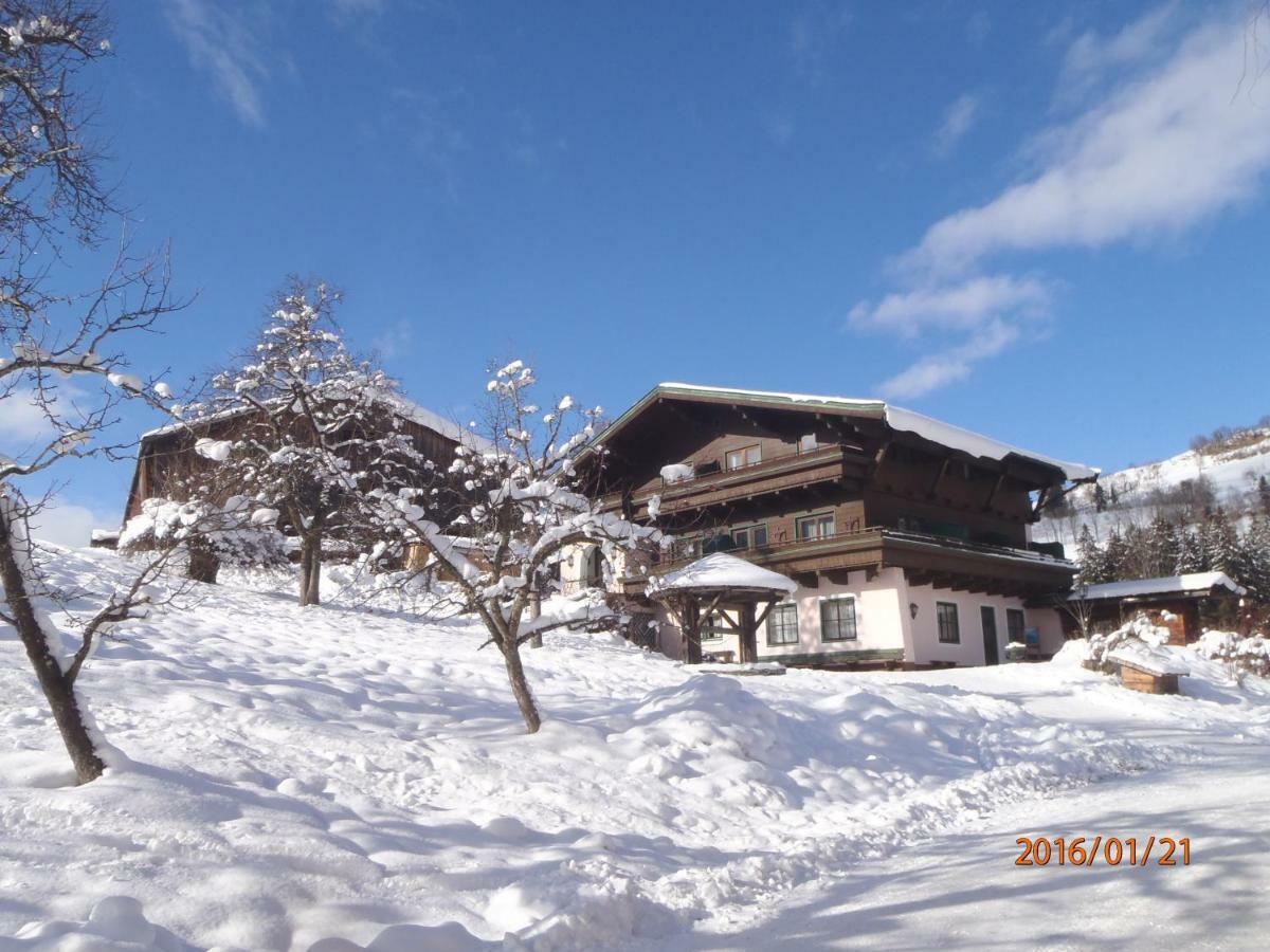 Pension Schachernhof Hotel Mittersill Luaran gambar