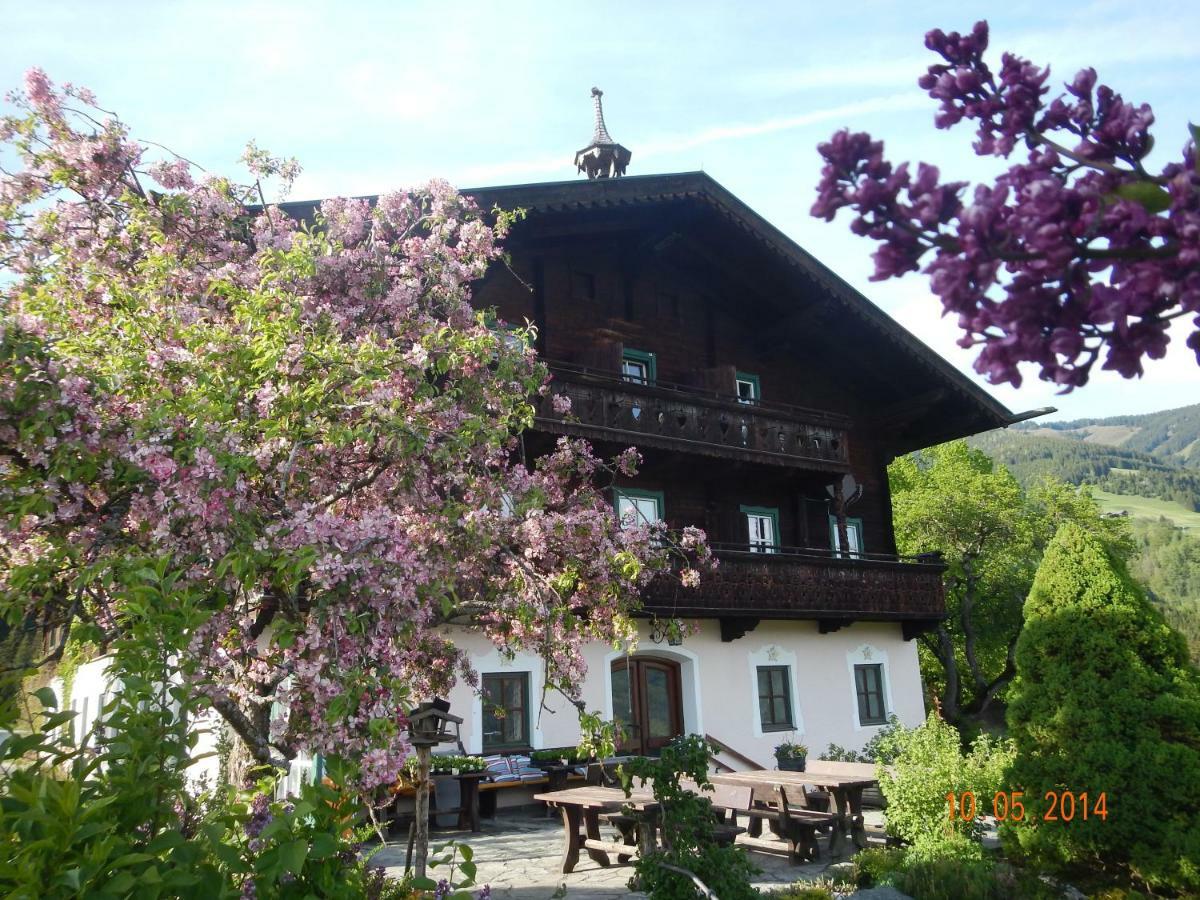 Pension Schachernhof Hotel Mittersill Luaran gambar