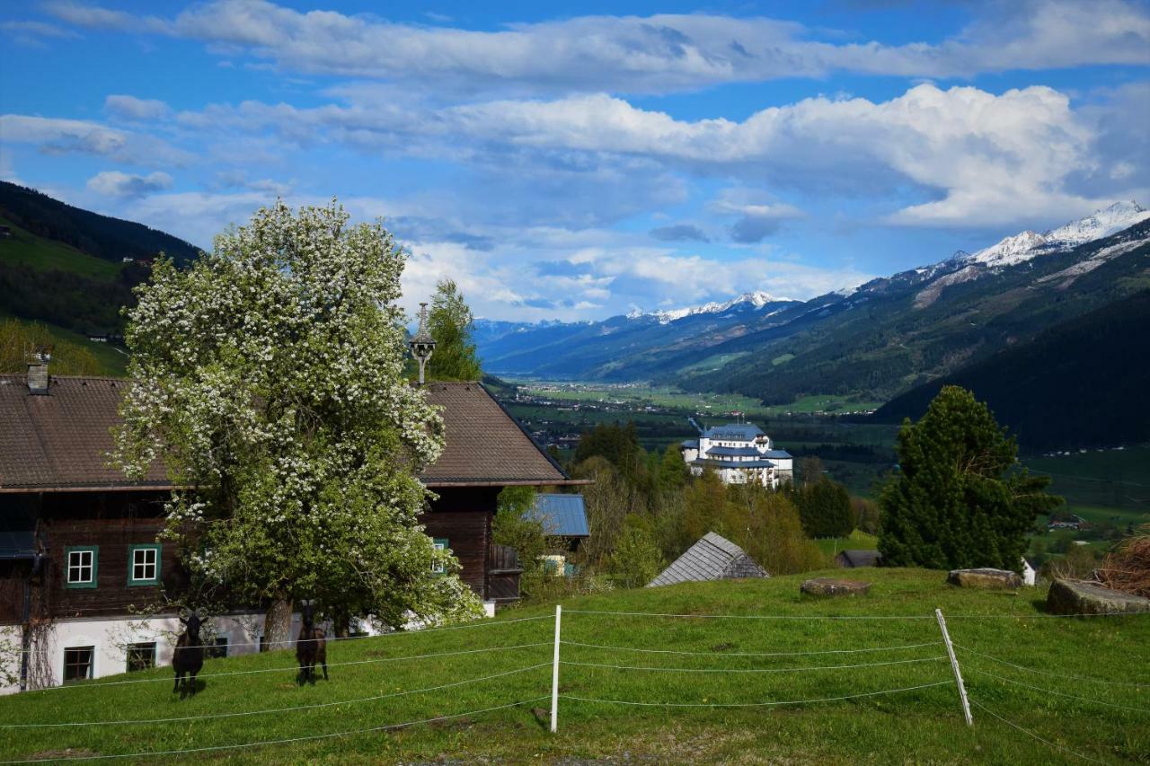Pension Schachernhof Hotel Mittersill Luaran gambar